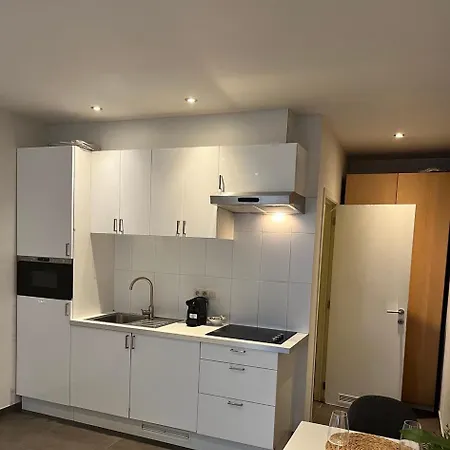 Hippolyte Metdepenningenstraat Kl *